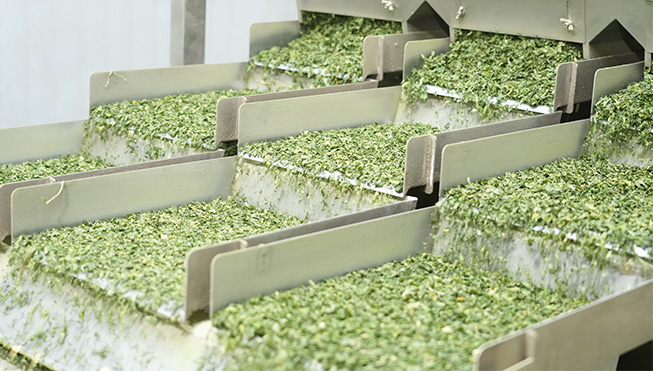 兴化市维泰食品有限公司